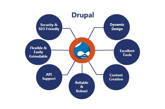 Drupal Development Services